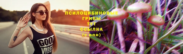 МДПВ Алексеевка